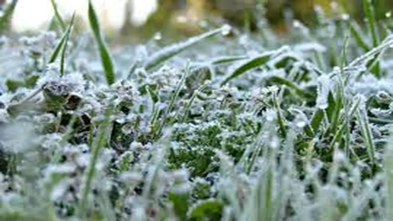 تحذيرات من الأرصاد حول موجات صقيع وضباب في المرتفعات الجبلية بالأردن